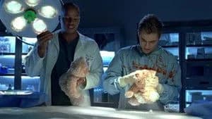 Scrubs 9. Sezon 13. Bölüm