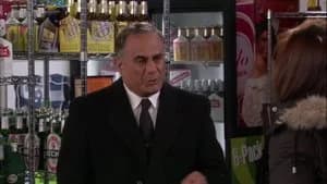 How I Met Your Mother 4. Sezon 13. Bölüm