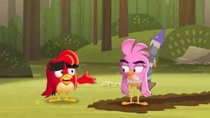 Angry Birds: Summer Madness 1. Sezon 9. Bölüm
