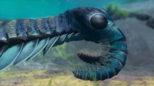 Life on Our Planet 1. Sezon 2. Bölüm
