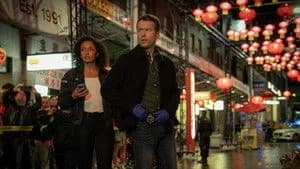 NCIS: Sydney 3. Sezon 8. Bölüm