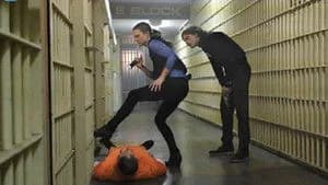 Criminal Minds 11. Sezon 22. Bölüm