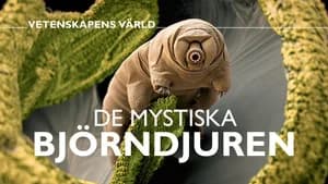 Vetenskapens värld 50. Sezon 23. Bölüm