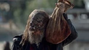 The Walking Dead 10. Sezon 14. Bölüm