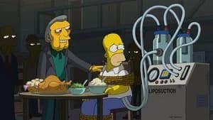 The Simpsons 36. Sezon 13. Bölüm