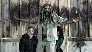 The Walking Dead 11. Sezon 22. Bölüm