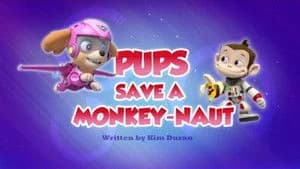 PAW Patrol 3. Sezon 33. Bölüm