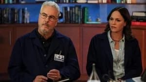 CSI: Vegas 1. Sezon 6. Bölüm
