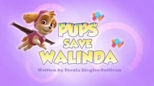 PAW Patrol 2. Sezon 38. Bölüm