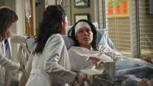 Grey's Anatomy 7. Sezon 19. Bölüm