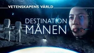 Vetenskapens värld 52. Sezon 6. Bölüm