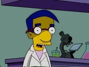 The Simpsons 18. Sezon 11. Bölüm