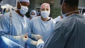Grey's Anatomy 12. Sezon 8. Bölüm