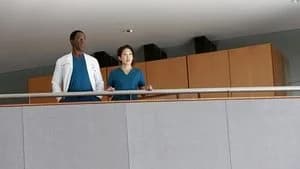 Grey's Anatomy 10. Sezon 22. Bölüm