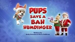 PAW Patrol 7. Sezon 27. Bölüm