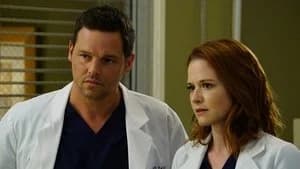 Grey's Anatomy 12. Sezon 22. Bölüm