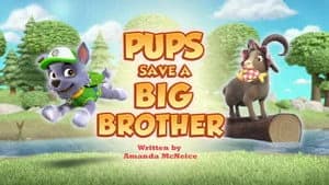 PAW Patrol 12. Sezon 9. Bölüm