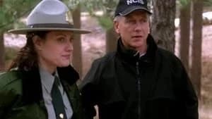 NCIS 3. Sezon 17. Bölüm