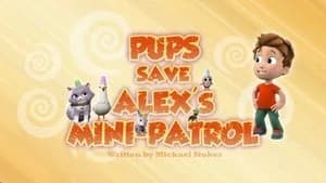 PAW Patrol 3. Sezon 9. Bölüm