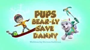 PAW Patrol 3. Sezon 34. Bölüm