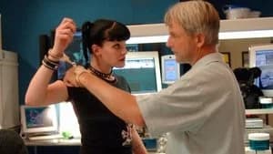 NCIS 4. Sezon 2. Bölüm