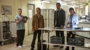 NCIS: Hawaiʻi 3. Sezon 10. Bölüm