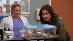 Grey's Anatomy 14. Sezon 14. Bölüm