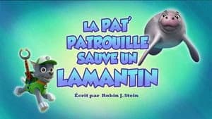 PAW Patrol 6. Sezon 21. Bölüm
