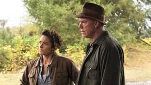 The Man in the High Castle 3. Sezon 8. Bölüm