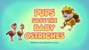 PAW Patrol 6. Sezon 12. Bölüm