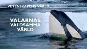 Vetenskapens värld 51. Sezon 26. Bölüm