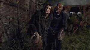 The Walking Dead 11. Sezon 8. Bölüm