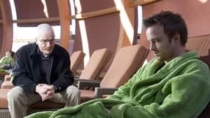 Breaking Bad 2. Sezon 13. Bölüm