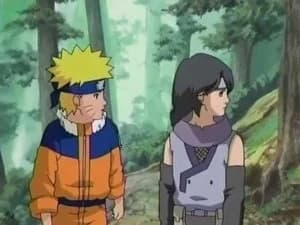 Naruto 4. Sezon 178. Bölüm
