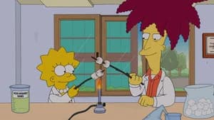 The Simpsons 25. Sezon 13. Bölüm