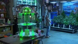 Disjointed 1. Sezon 18. Bölüm