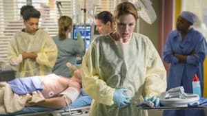 Grey's Anatomy 11. Sezon 9. Bölüm