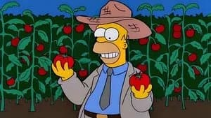 The Simpsons 11. Sezon 5. Bölüm