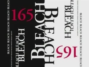 Bleach 1. Sezon 165. Bölüm