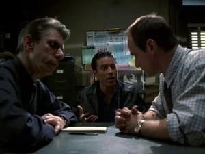 Law & Order: Special Victims Unit 2. Sezon 4. Bölüm