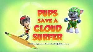 PAW Patrol 4. Sezon 29. Bölüm