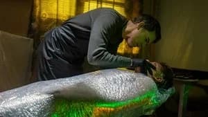 Dexter: Resurrection 1. Sezon 3. Bölüm