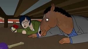 BoJack Horseman 6. Sezon 4. Bölüm