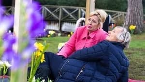 Coronation Street 66. Sezon 53. Bölüm