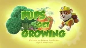 PAW Patrol 3. Sezon 36. Bölüm