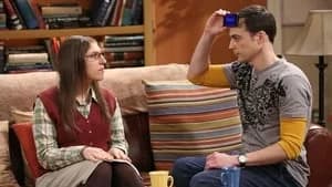 The Big Bang Theory 8. Sezon 9. Bölüm