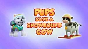 PAW Patrol 8. Sezon 2. Bölüm