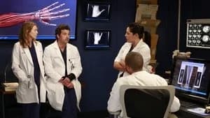 Grey's Anatomy 9. Sezon 9. Bölüm