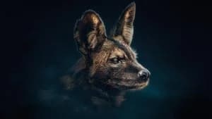 Dynasties 1. Sezon 4. Bölüm