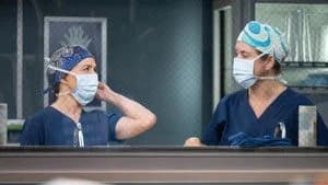 Grey's Anatomy 22. Sezon 10. Bölüm